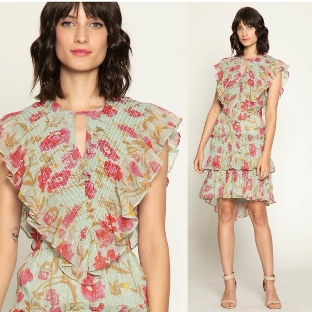 Walter Baker Dayna Green Pink Garden Floral Dress Sz 8